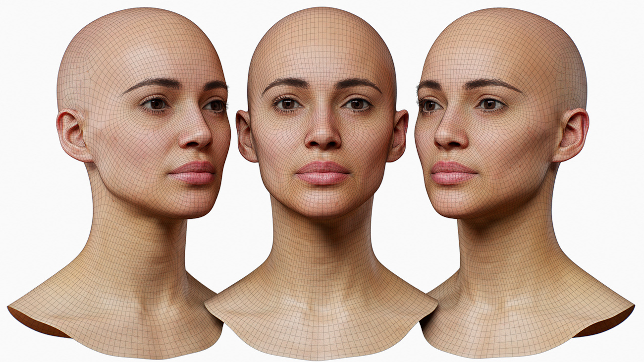 Free 3D Head Model